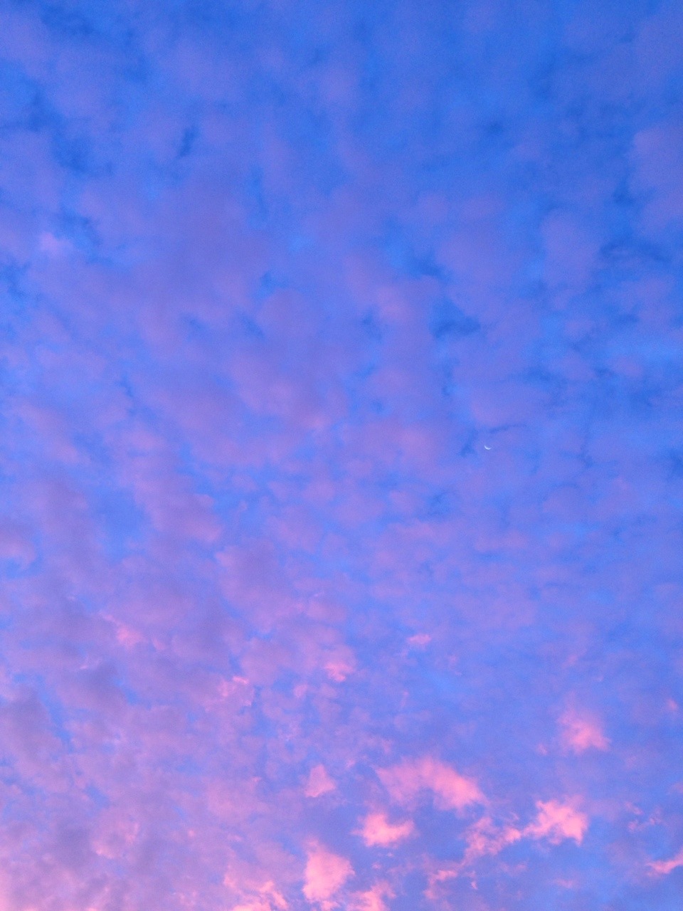 mirazel:  this was from a few mornings ago 