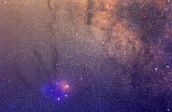 house-of-gnar:  The colorful molecular cloud complex around Rho Ophiuchus and Antares. The globular cluster M4 can be seen to the left of Antares. This area is a star-forming region where huge molecular clouds eventually collapse to give birth to new