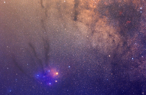 house-of-gnar: The colorful molecular cloud complex around Rho Ophiuchus and Antares. The globular c