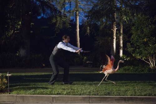 fitzsimmonsshield:marvelsagentcarter:Agent Carter 2x02 Episode Stills (x)JARVIS WITH THE FLAMINGO