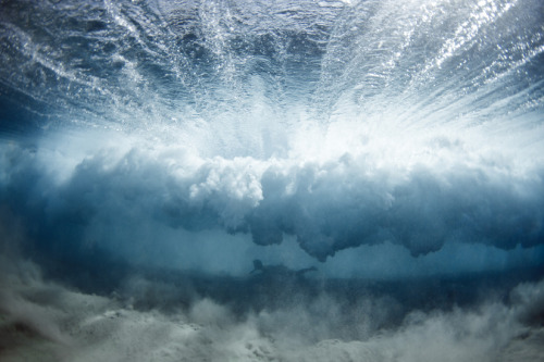 likeafieldmouse:  Mark Tipple - The Underwater adult photos