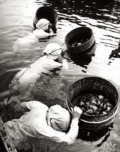 henk-heijmans:Three female Mikimoto pearl divers with buckets as they prepare to dive down 20ft. to 