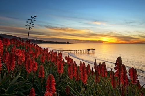 travelingcolors - Scripps Pier, San Diego | California (by Lee...