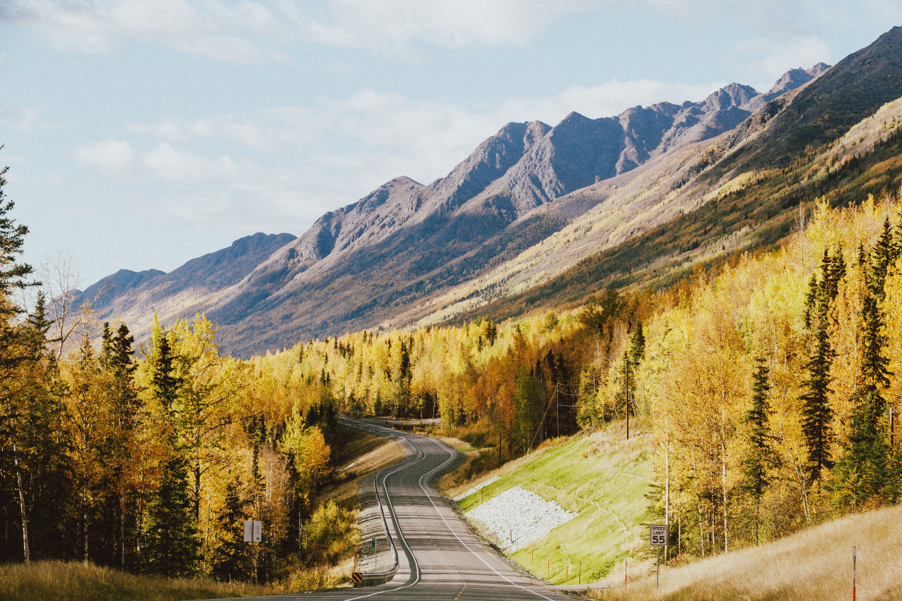 heyimchandler:  Autumn Roads. 