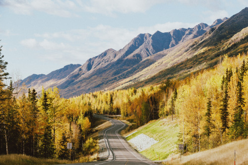 heyimchandler:  Autumn Roads. 