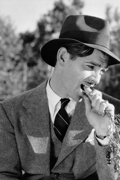 Friz Freleng's Unpublished Memoirs Mention That This Was One Of His Favorite Films, And That It Contains