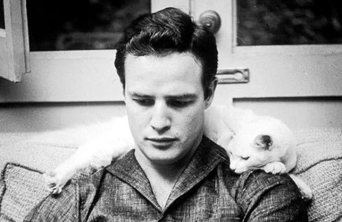 fishingboatproceeds:terrysmalloy:Marlon Brando with his pet cat, 1954.I’m sorry, are these pictures 