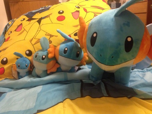 kiyotakamine: you can’t go wrong with a mudkip in every size for every occasion I&rsquo;m 