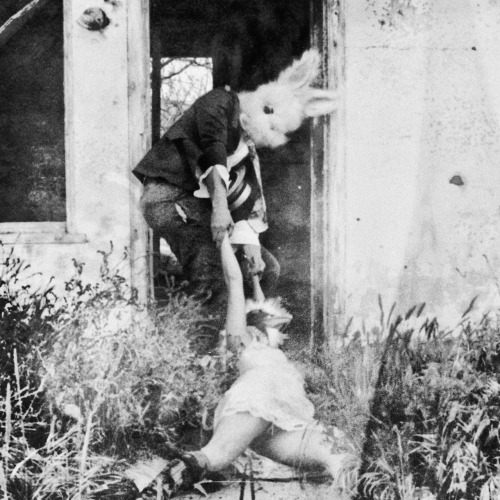 littlegirlvoice: This might be creepeh, but … I know a guy that wears a rabbit head. That dra