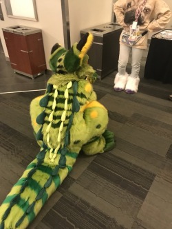 fursuitpursuits: RT @Jai_the_Jackal: One day I’ll find a chair that can accommodate my tail. Until then, my tail is my chair. :B  Happy thicc tail Wednesday! https://t.co/VU5G9k6WZz (Source)  omg that tail