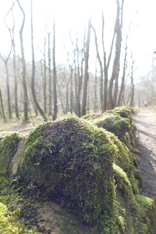 Views of the Grizedale Valley in North Lancashire on the edge of the Forest of Bowland in March 2018