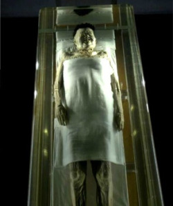 Mummy Fact Post 2: Lady Dai, or Xin Zhui. Another one of the most well preserved. In 1971, workers near Changsha, China were digging an air raid shelter when they discovered an enormous find. A Han Dynasty tomb filled with over 1,000 artifacts&hellip;