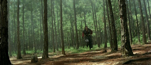 Duel to the Death・ ・ ・Director: Siu-Tung ChingDirectors of Photography: Yu-Tang Li &amp; Hung-Ch