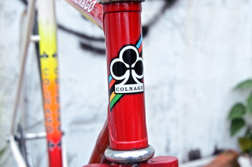 davewellbeloved: Lovely (via Lockedcog.com – Bikes on the Streets. » Blog Archive » Anson’s Colnago 