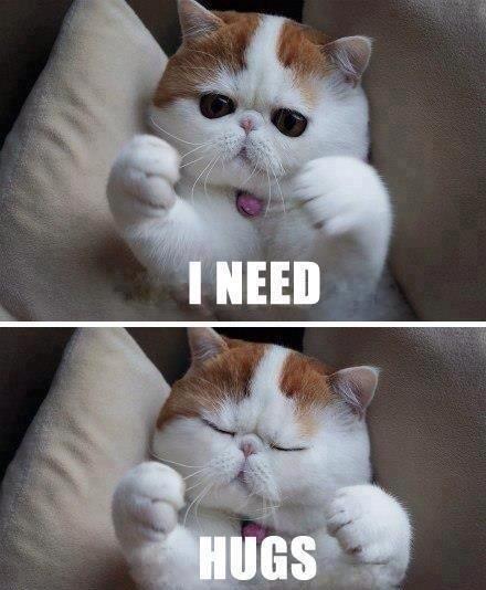 xxcookiexx1:  Hugs I need em 