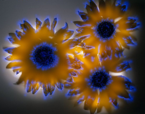 sixpenceee:  Robert Buelteman is not your average nature photographer. The California-based