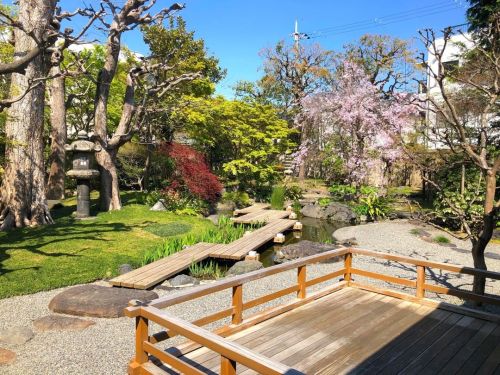 ＼おにわさん更新情報／ ‪[ 京都市左京区 ] 西尾八ッ橋の里庭園 Nishio Yatsuhashi-no-sato Garden, Kyoto の写真・記事を更新しました。 ーー現在は本家西尾八ッ