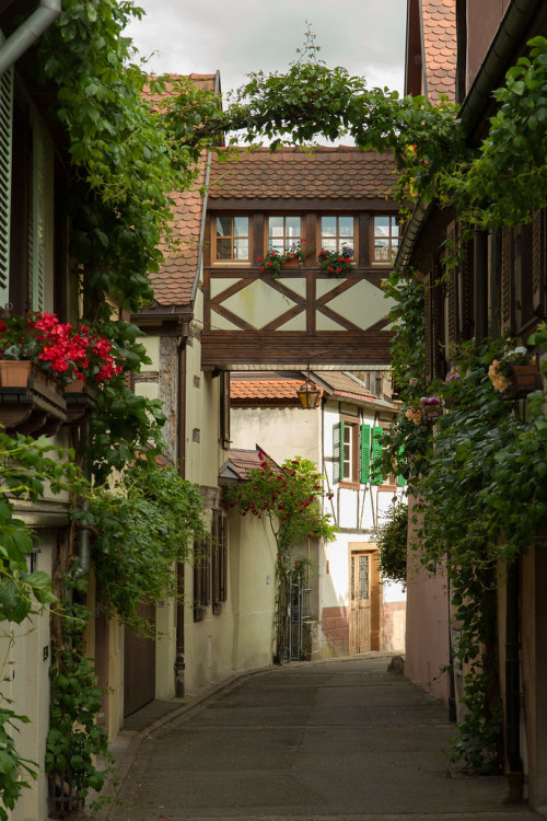 allthingseurope:Kaysersberg, France (by Charles R)