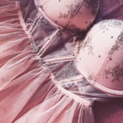 babyygoth:  alien-princesa:  Prettiest lingerie I’ve ever seen🏰🎀👑💕  Omg I’m in love 