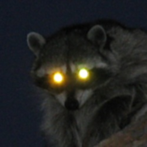 oculos-lucidum: