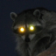 oculos-lucidum: