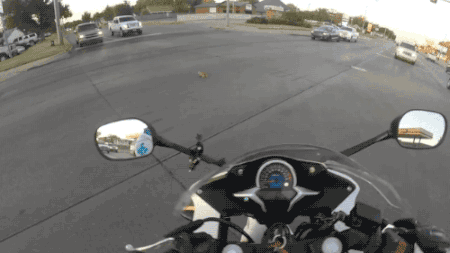 gifsboom:  Video: Motorcyclist saves kitten on intersection 