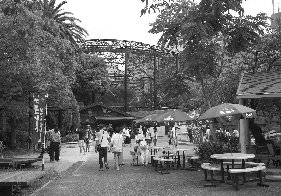 LEICA M8＋CANON LENS 28mm 1:2.8
天王寺動物園の一角です。向こうに見えるゲージは「鳥の楽園」かな。
#tennojizoo #osaka #japan #oldlens #leica #leicam8 #天王寺動物園 #大阪 #オールドレンズ