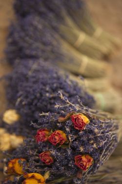 ehtelen:  Lavender by Jacques Palut 