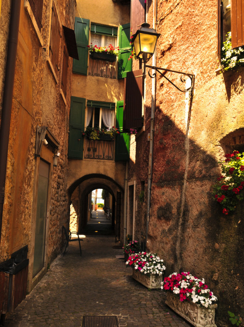 Torri del Benaco - Italy (von - Antonello adult photos