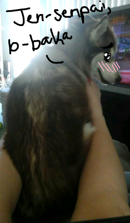 CAT I FUC//KIN CAN’’T LORD HAVE ME’//RCY