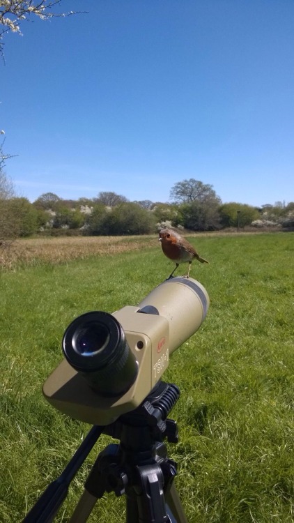 Ready for my close-up