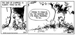 nevver:  Calvin and Hobbes