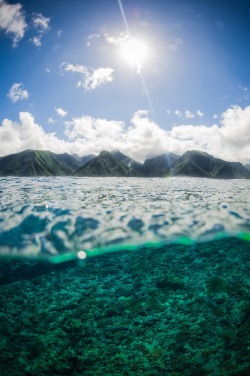 0ce4n-g0d:  Teahupoo - Tahiti | Henrique