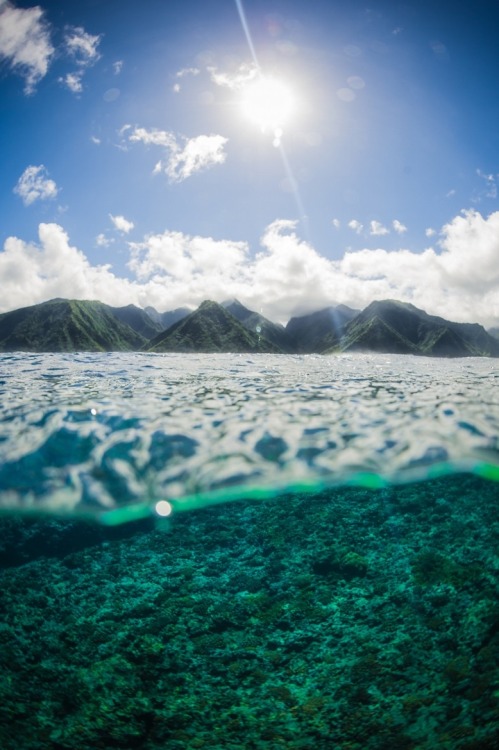 XXX 0ce4n-g0d:  Teahupoo - Tahiti | Henrique photo