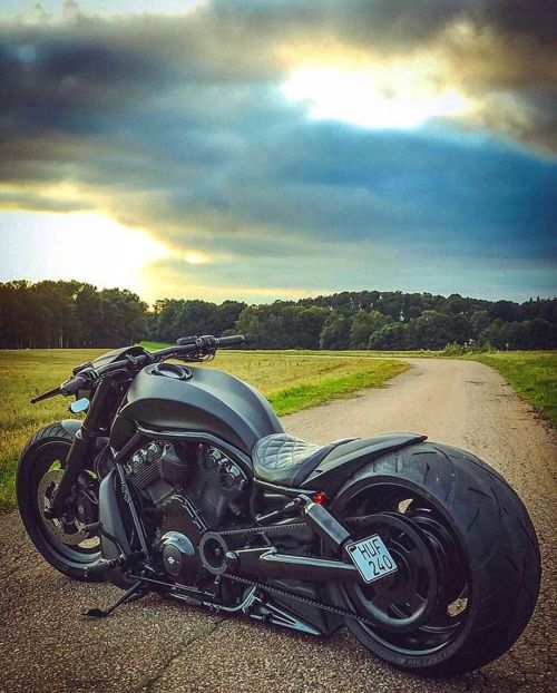 vrodaustralia:  ▪️ 😎😎 ▪️ Show off your Harley  ▪️ Is your motorcycle🔥enough.  ▪️If so please share with us and comment ▪️ and tag a mate below 👇  ▪️⚠️Credit/Owner: @ ▪️📩DM us with a clear Picture for a shoutout