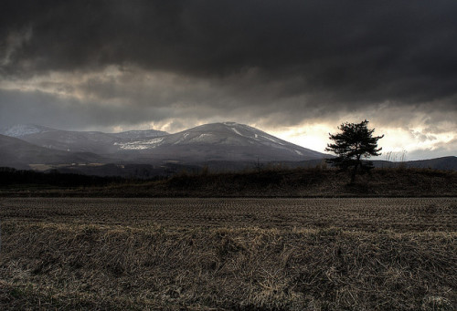 Storms of Spring