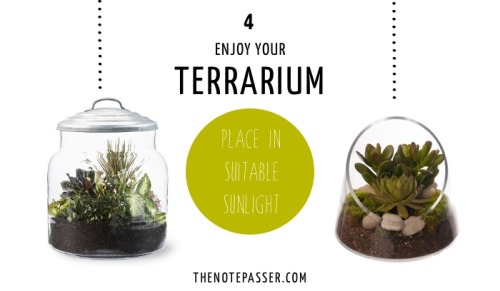 allotment86:How to make a Terrarium in 4 steps … The size of your container will affect the amount