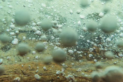 Geologist Andrés Ruzo First Heard About The Boiling River As Child, But It Was Always Thought Of As