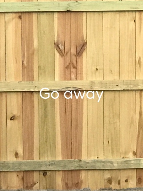 The alien that lives in my neighbor&rsquo;s fence isn&rsquo;t happy we&rsquo;ve moved in.