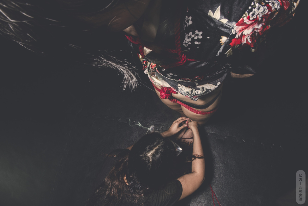 lesfillesdepigalle:  The butterfly effectPart TwoBunny : Emma CeeRigger : t0ni