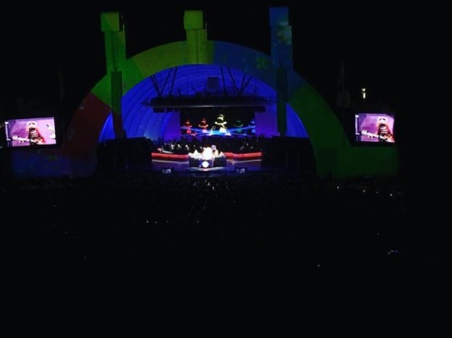 Dr. Teeth and The Electric Mayhem!!! #themuppets #muppetstakethebowl #hollywoodbowl (at Hollywood Bo