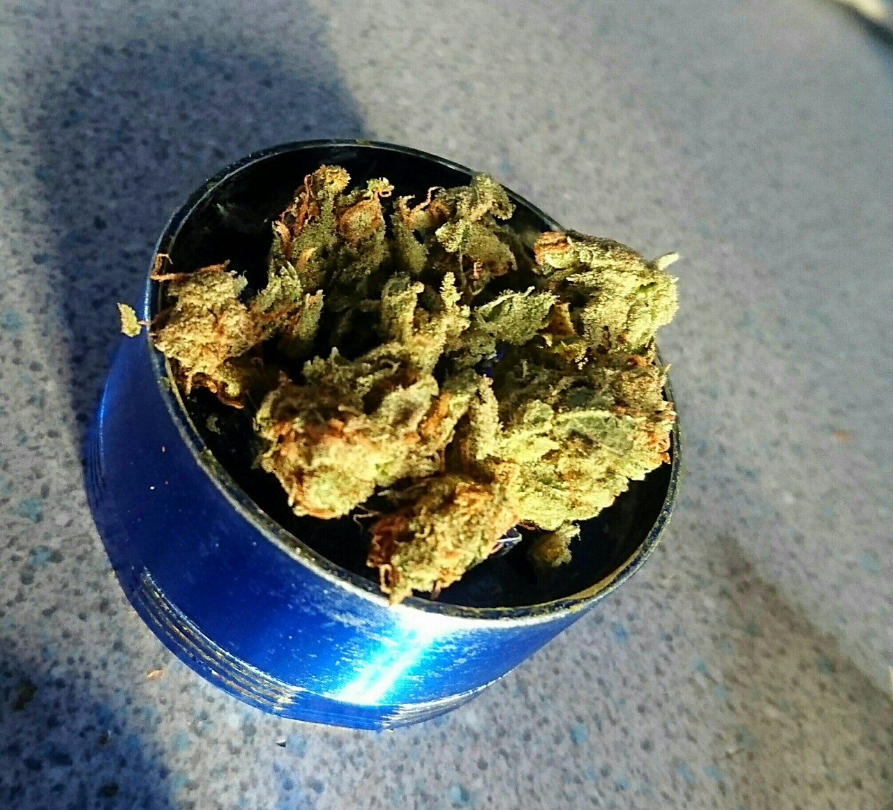 lucifers-lettuce:  Fluffy