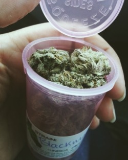 chroniclifestyle420:  Only topshelf