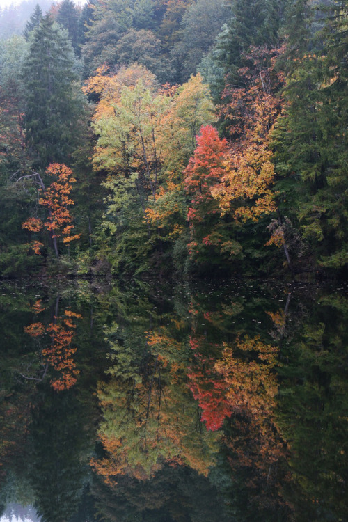 allthingseurope: Bavarian Autumn, Germany (by Vladimir Makovetsky)