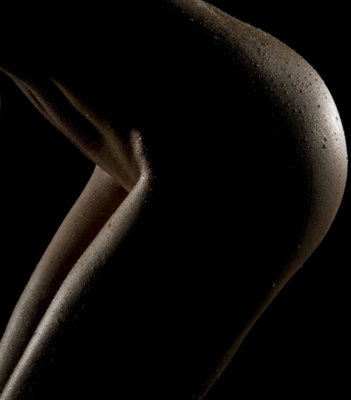 aberrantbeauty:  Gabor Kanovits