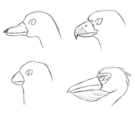 Toucan Drawing  How To Draw A Toucan Step By Step