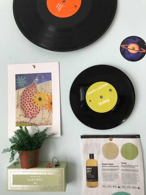 uhhhplants:room details 1/8/17