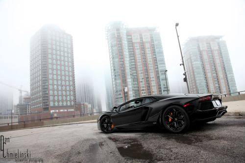 automotivated:  Lamborghini Aventador (by dancphotography)