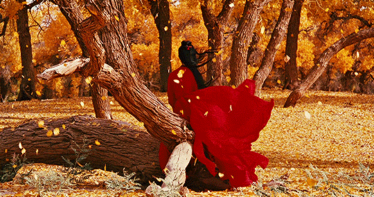 spellman:Fall in Film— When Harry Met Sally, Harry Potter and the Prisoner of Azkaban, Hero, Your Na