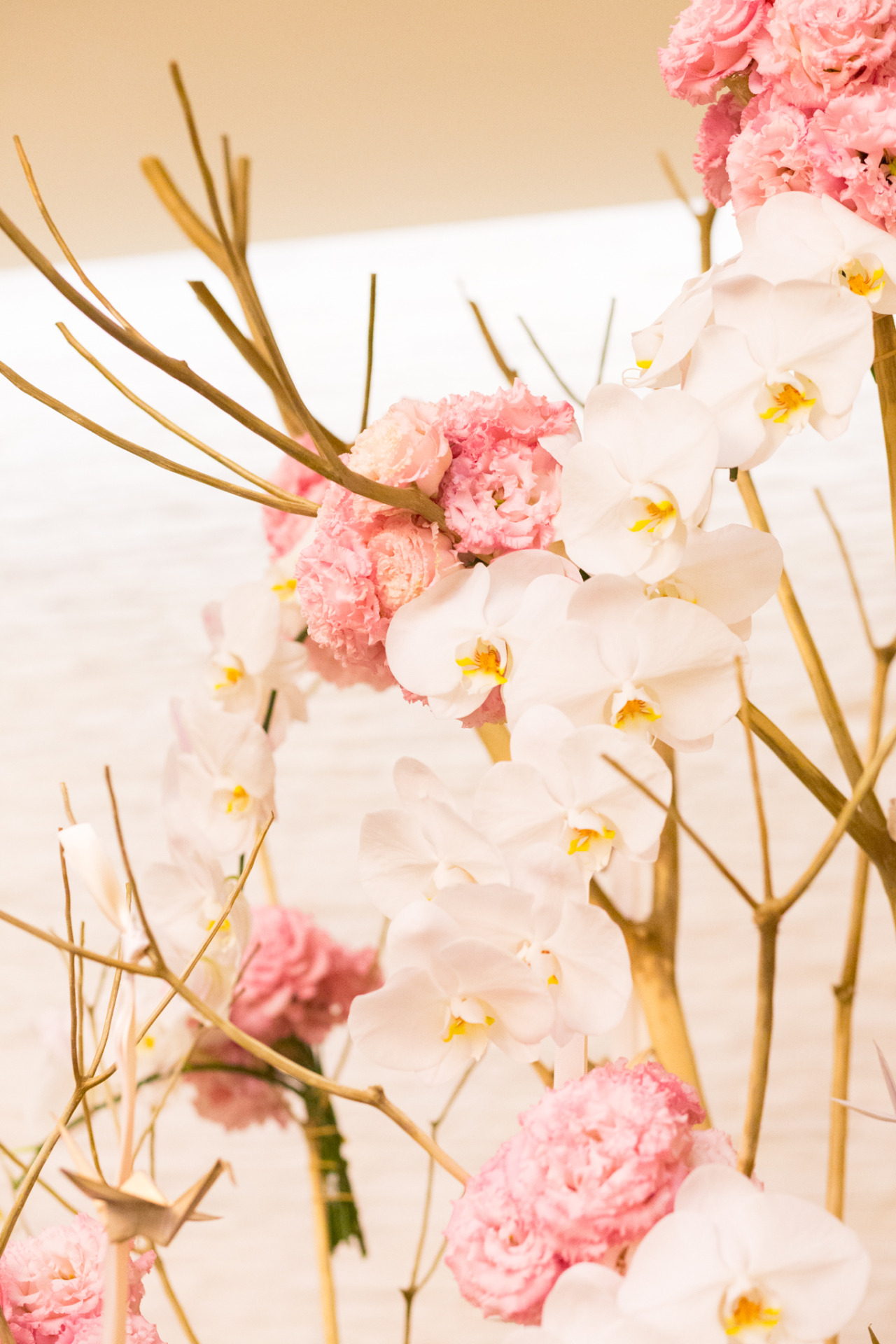 雪球花tumblr Posts Tumbral Com 雪球花tumblr Posts Tumbral Com